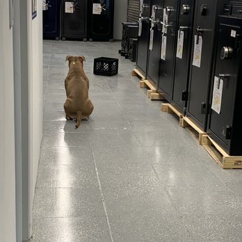 South Florida Safes - What would make you more safe? The combination, perfection. - Safe Stores Near Me - Dania Beach, Florida South Florida Safes - What would make you more safe? The combination, perfection. - Safe Stores Near Me - Dania Beach, Florida