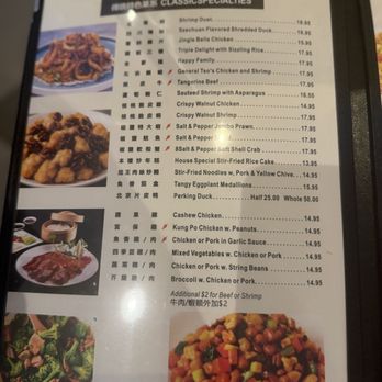 Chengdu 1 Palace - Dim Sum Near Me - Green Brook Township, New Jersey