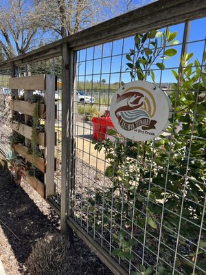 Amista Vineyards by null