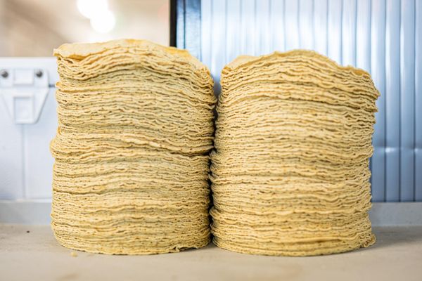 El Tianguis Rolled Taquitos by null