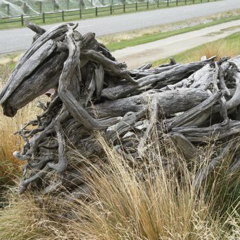 Mt Rosa Wines - Wineries Near Me - Gibbston, OTA Mt Rosa Wines - Wineries Near Me - Gibbston, OTA