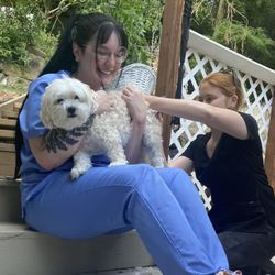 Low Stress Mobile Pet Services