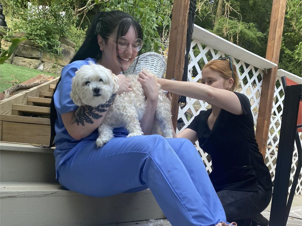 Lucky Dog Mobile Groomers | Pet Grooming Services Company