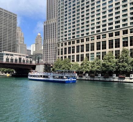 Urban Kayaks on the Chicago River by null