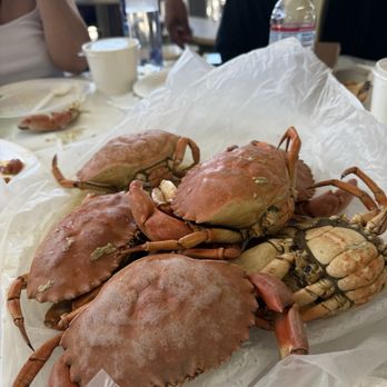 Quality Seafood - Fresh (Live) Santa Barbara Crab - Female - Seafood Markets Near Me - Redondo Beach, California