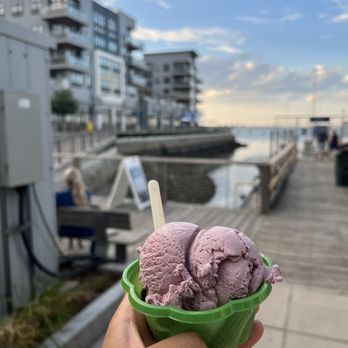 Donato's Gelato - Small Black Raspberry Ice Cream - Ice Cream & Frozen Yogurt Near Me - Quincy, Massachusetts Donato's Gelato - Small Black Raspberry Ice Cream - Ice Cream & Frozen Yogurt Near Me - Quincy, Massachusetts