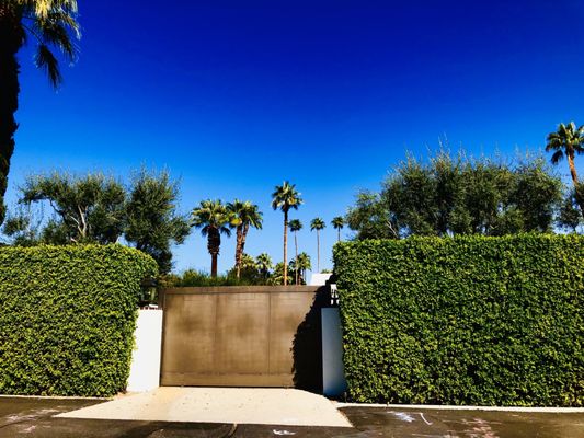 Palm Springs Mod Squad (Architecture Tours) by null