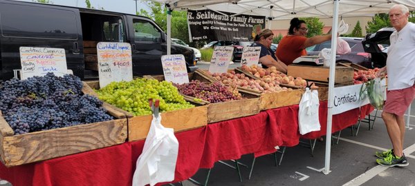 Tamarack Junction Farmers Market by null