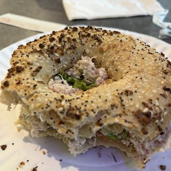 Marathon Bagel At Islamorada - Tuna salad on everything bagel - delicious! - Breakfast & Brunch Near Me - Islamorada, Florida