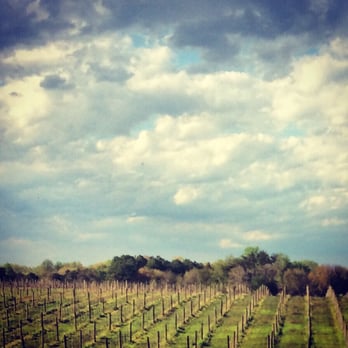Wilderness Run Vineyards - Wineries Near Me - Spotsylvania, Virginia Wilderness Run Vineyards - Wineries Near Me - Spotsylvania, Virginia