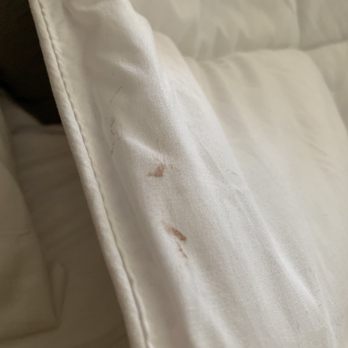 Furnace Creek Ranch - So disgusting to sleep with this - Hotels Near Me - Death Valley, California Furnace Creek Ranch - So disgusting to sleep with this - Hotels Near Me - Death Valley, California