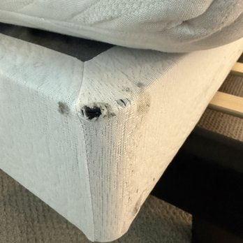 SOS Moving - Damaged Mattress Box - Movers Near Me - Los Angeles, California