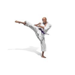 West Los Angeles Karate - Mawashi geri