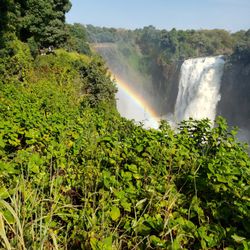 Carol James Travel - Victoria Falls Zimbabwe