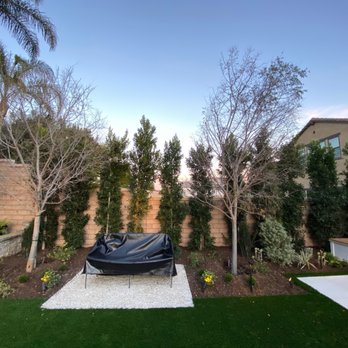 Moon Valley Nurseries - Tree Services Near Me - Irvine, California