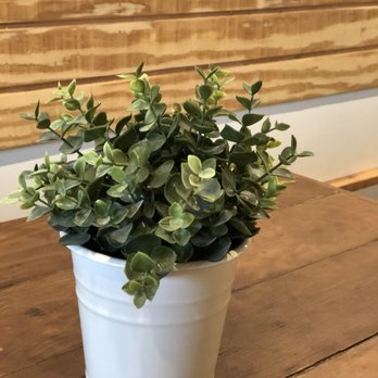 Cafe Aficionado - Coffee & Tea Near Me - Los Angeles, California Cafe Aficionado - Coffee & Tea Near Me - Los Angeles, California