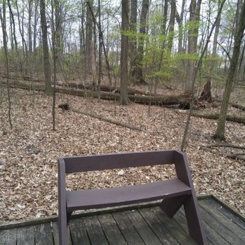 Sawmill State Wildlife Education Area - Benches available along the boardwalk - Parks Near Me - Columbus, Ohio Sawmill State Wildlife Education Area - Benches available along the boardwalk - Parks Near Me - Columbus, Ohio