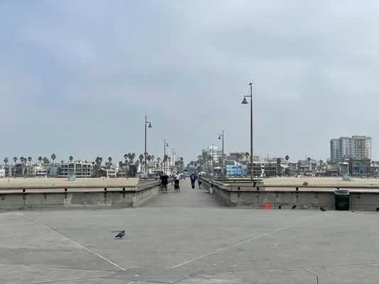 Venice Fishing Pier by null