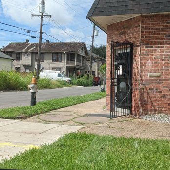 Vegan Snack Shack - Fire hydrant - Vegan Near Me - New Orleans, Louisiana Vegan Snack Shack - Fire hydrant - Vegan Near Me - New Orleans, Louisiana