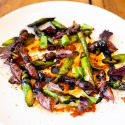 Number5 Kitchen - Firefly squid