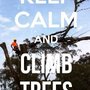 Photo of Desert Sun Tree Service