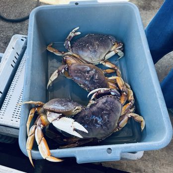 ShrimpDaddy’s Bait & Tackle Shack - Hunting & Fishing Supplies Near Me - WAldport, Oregon