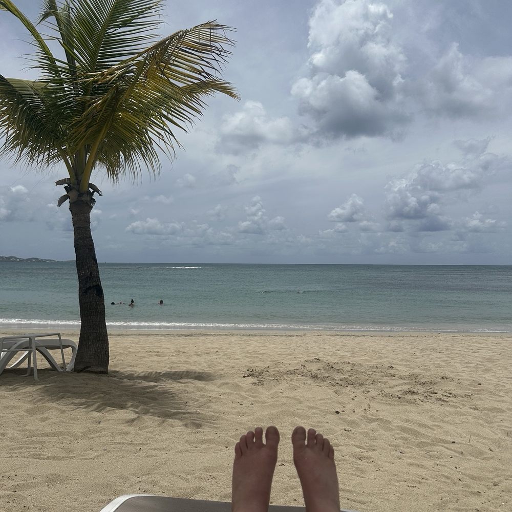 The Mermaid - Caribbean Near Me - Christiansted, Virgin Islands The Mermaid - Caribbean Near Me - Christiansted, Virgin Islands