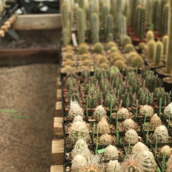 B & B Cactus Farm - Nurseries & Gardening Near Me - Tucson, Arizona