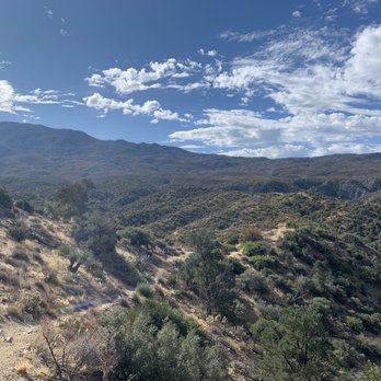 The Beaten Path - Palm Canyon Epic - Bike tours Near Me The Beaten Path - Palm Canyon Epic - Bike tours Near Me