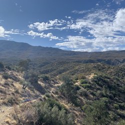 The Beaten Path - Palm Canyon Epic