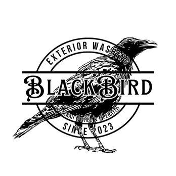 Black Bird Exterior Washing - Pressure Washers Near Me Black Bird Exterior Washing - Pressure Washers Near Me