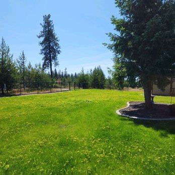 CQC Landscaping - Grass seed growing in beautifully. - Landscaping Near Me - Hayden, Idaho