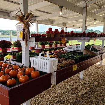 The Wagon Wheel - Farmers Market Near Me - Delmar, Maryland The Wagon Wheel - Farmers Market Near Me - Delmar, Maryland