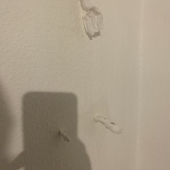 Rodeway Inn & Suites Hwy 217 & 26 W - Holes filled with tissue - Hotels Near Me - Portland, Oregon Rodeway Inn & Suites Hwy 217 & 26 W - Holes filled with tissue - Hotels Near Me - Portland, Oregon