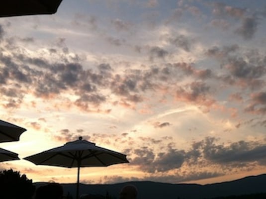 Stinson Vineyards by null