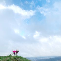 Earl Canyon Motorway - Scenic view.  ig: @chelseatheterrier