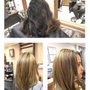 The Hair Salon Under The Rothem Tree