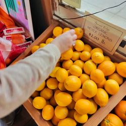 Sunset Ridge Fine Fruits - Lemons