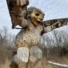 Aullwood Audubon gift card