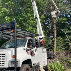Utility Tree Service