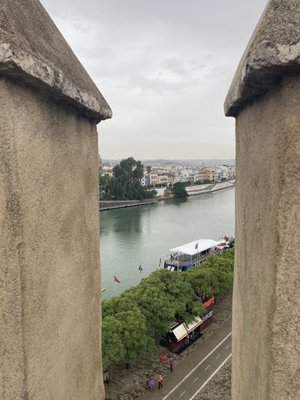 Torre del Oro by null
