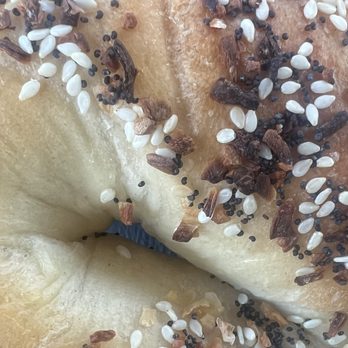 Shalom Kosher Bakery - Bakeries Near Me - Buffalo Grove, Illinois Shalom Kosher Bakery - Bakeries Near Me - Buffalo Grove, Illinois