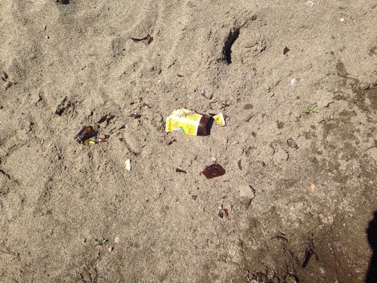 Tiscornia Park by null