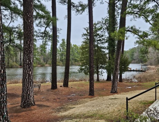 Jolene Family Winery by null