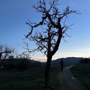 Black Mountain Trail - Hiking Near Me - Los Altos, California