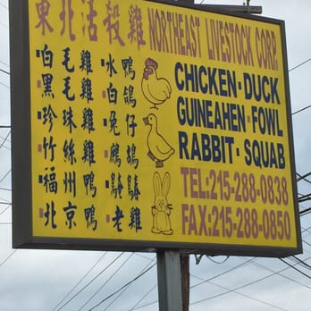 Northeast Livestock Corp. - chicken - duck, guneah - fowl, rabbit - soup, tete, and tete - Butcher Near Me - Philadelphia, Pennsylvania Northeast Livestock Corp. - chicken - duck, guneah - fowl, rabbit - soup, tete, and tete - Butcher Near Me - Philadelphia, Pennsylvania