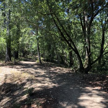 1440 Multiversity - Specialty Schools Near Me - Scotts Valley, California 1440 Multiversity - Specialty Schools Near Me - Scotts Valley, California