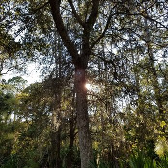 Lake Seminole Park - Parks Near Me - Seminole, Florida