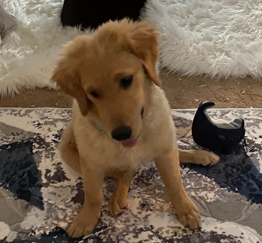 ANIMAL HEALTH SERVICES Updated October 2024 2099 Oklahoma Salem Rd