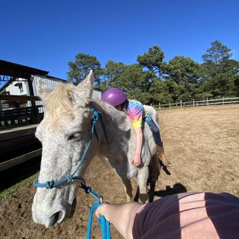 Still Waters Farm - Learn to relax - Horseback Riding Near Me - Conover, North Carolina Still Waters Farm - Learn to relax - Horseback Riding Near Me - Conover, North Carolina